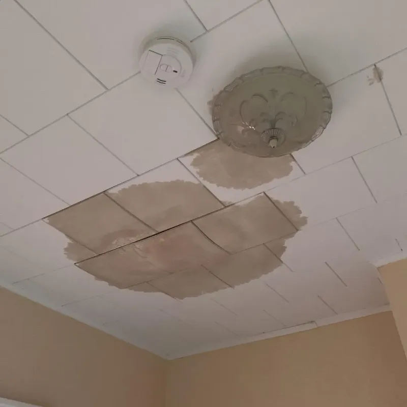 Ceiling Water Damage Repair in Woodburn, IN