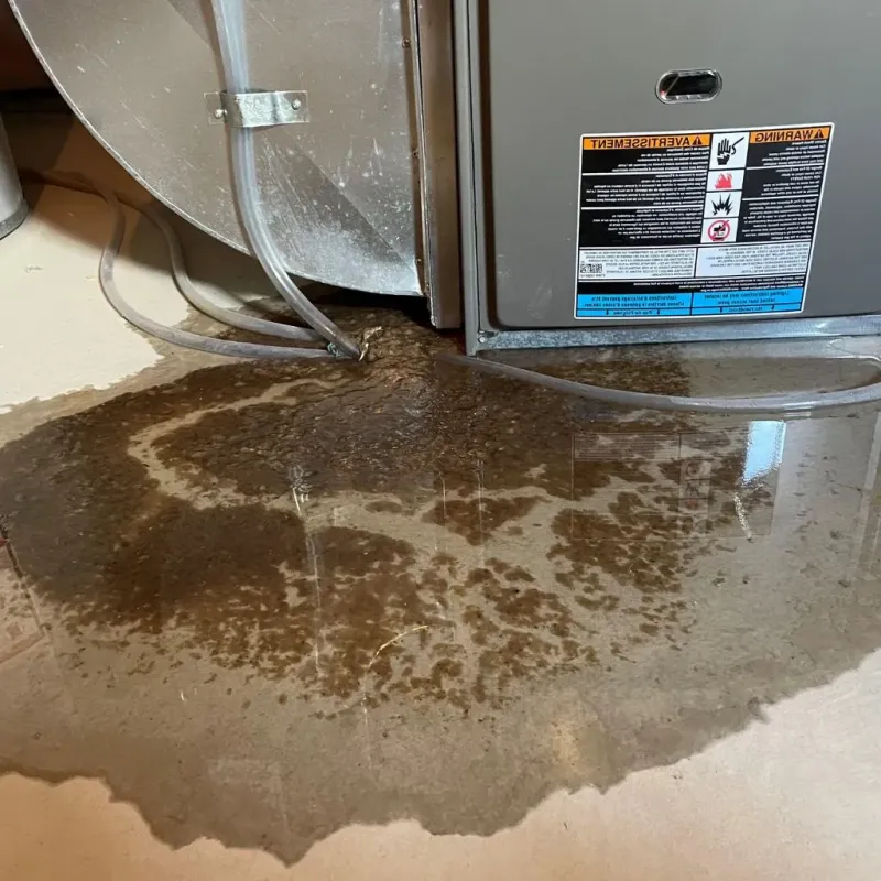 Pipe Burst and Leak Restoration in Woodburn, IN