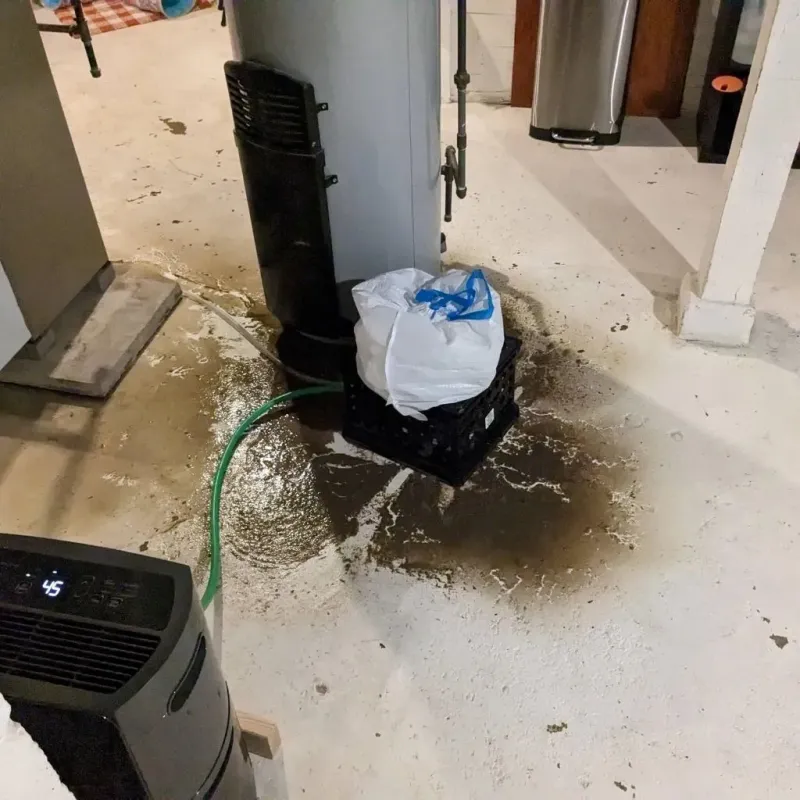 Sewage Backup Cleanup Service in Woodburn, IN